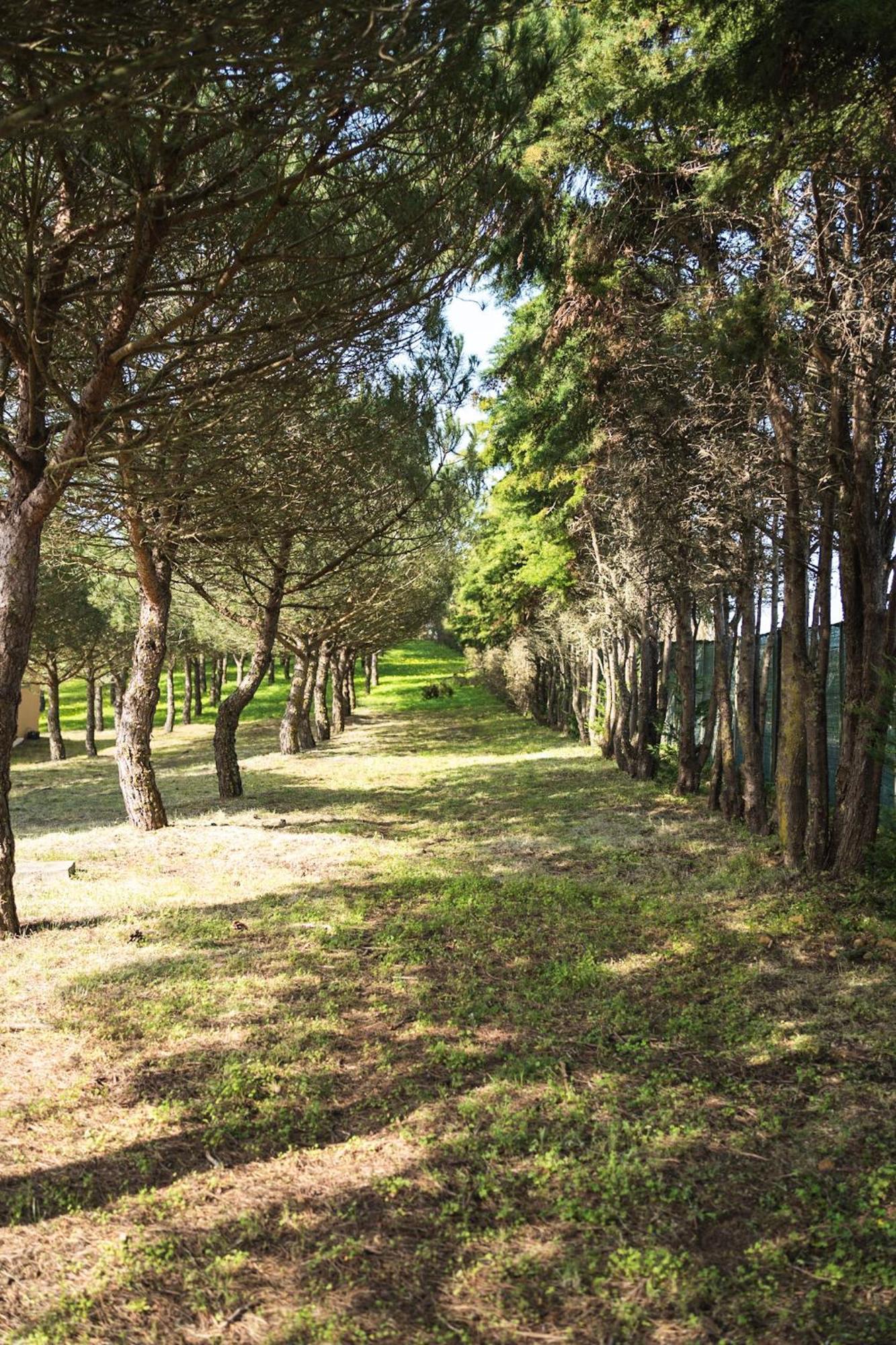 דירות Santo Isidoro Quinta Raposeiros מראה חיצוני תמונה