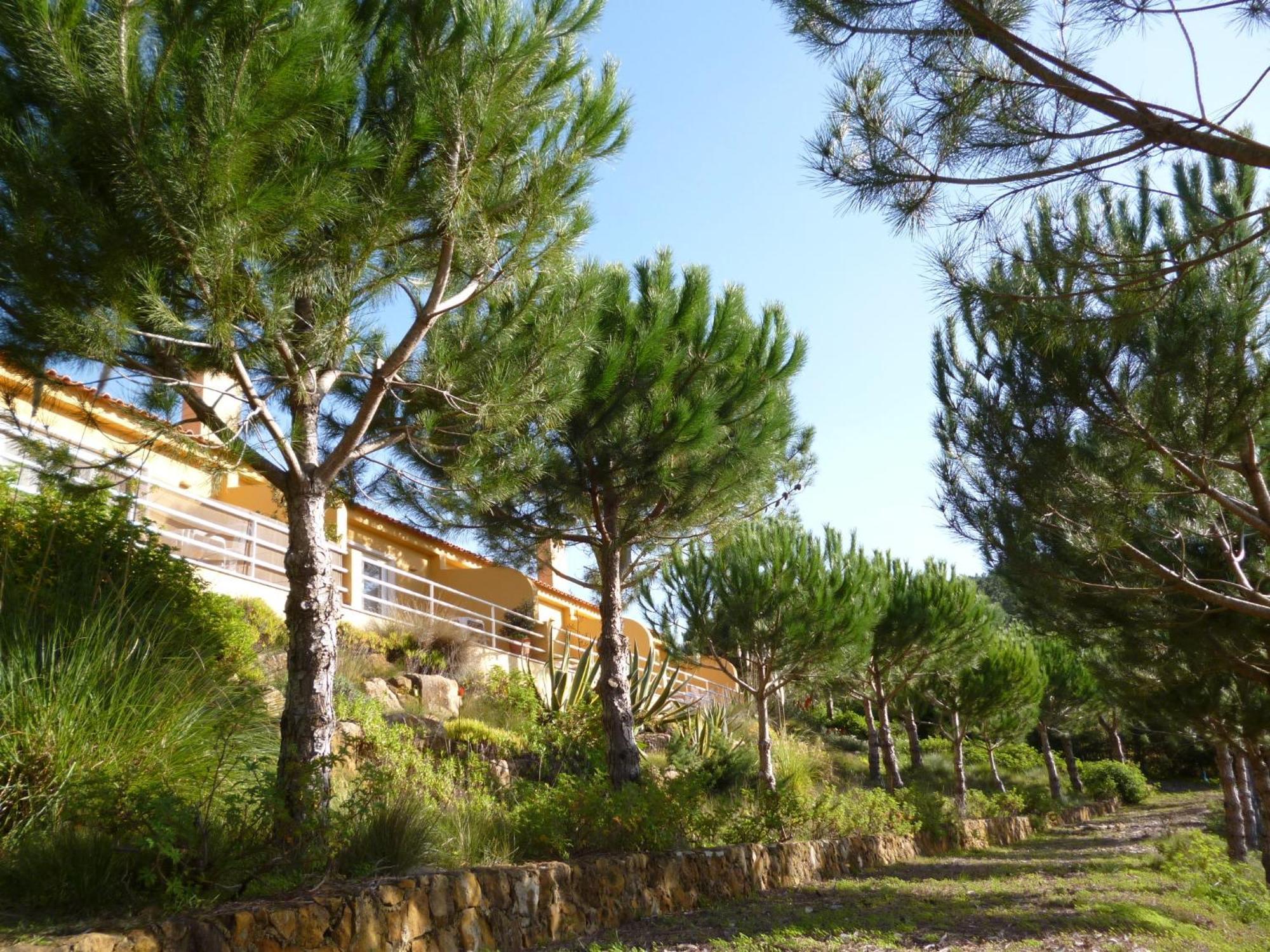 דירות Santo Isidoro Quinta Raposeiros מראה חיצוני תמונה